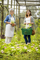 Image showing Worker and customer in a green house