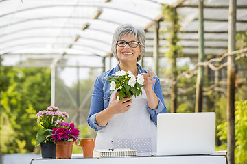 Image showing Working in a green house