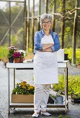 Image showing Working in a flower shop