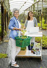 Image showing Worker and customer in a flower shop