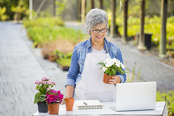 Image showing Working in a flower shop