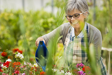 Image showing Mature woman watering flowers