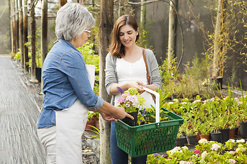 Image showing Worker and customer in a green house