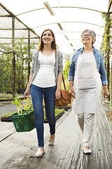 Image showing Worker and customer in a green house