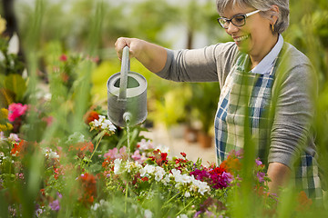 Image showing Mature woman watering flowers