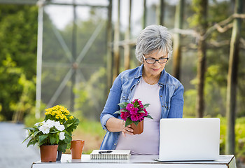 Image showing Working in a flower shop