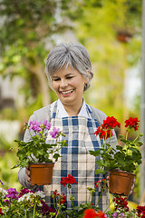 Image showing A day in a green house