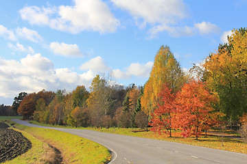 Image showing Autumn Road