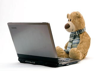 Image showing Laptop and teddy bear