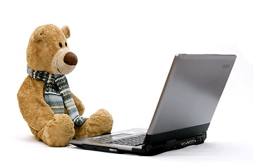 Image showing Laptop and teddy bear