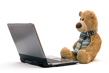 Image showing Laptop and teddy bear