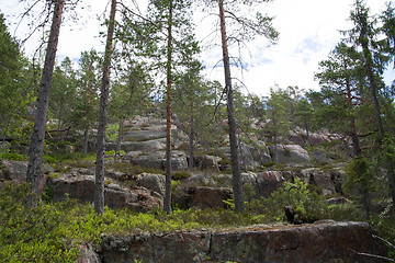 Image showing Skuleskogen National Park, Hoega Kusten, Sweden