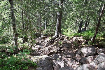 Image showing Skuleskogen National Park, Hoega Kusten, Sweden