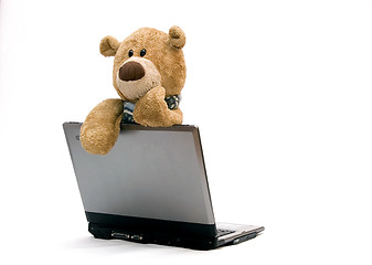 Image showing Laptop and teddy bear