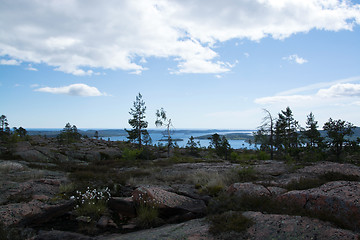 Image showing Skuleskogen National Park, Hoega Kusten, Sweden