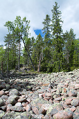 Image showing Skuleskogen National Park, Hoega Kusten, Sweden