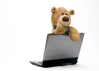 Image showing Laptop and teddy bear