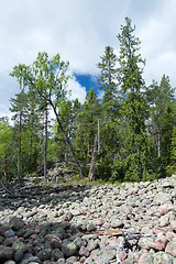 Image showing Skuleskogen National Park, Hoega Kusten, Sweden