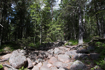 Image showing Skuleskogen National Park, Hoega Kusten, Sweden