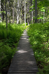 Image showing Skuleskogen National Park, Hoega Kusten, Sweden