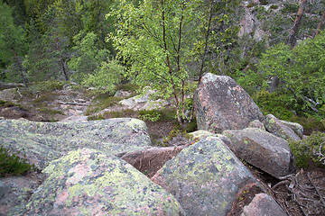 Image showing Skuleskogen National Park, Hoega Kusten, Sweden