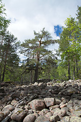 Image showing Skuleskogen National Park, Hoega Kusten, Sweden