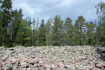 Image showing Skuleskogen National Park, Hoega Kusten, Sweden