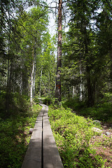 Image showing Skuleskogen National Park, Hoega Kusten, Sweden