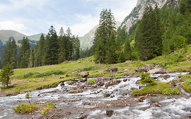 Image showing Waterfall in the forest