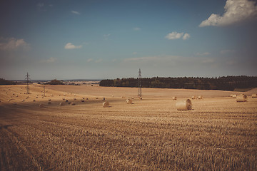 Image showing retro color of straw bales in harvested fields
