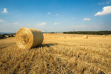 Image showing Beautiful landscape with straw bales in harvested fields