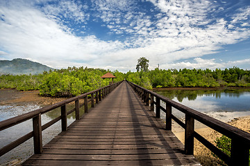 Image showing Indonesian landscape with mangrove and walkway