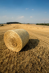 Image showing Beautiful landscape with straw bales in harvested fields