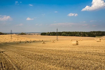 Image showing Beautiful landscape with straw bales in harvested fields