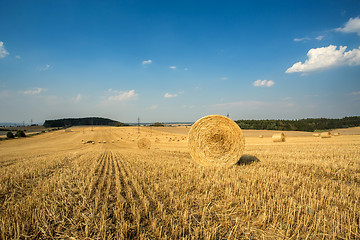 Image showing Beautiful landscape with straw bales in harvested fields