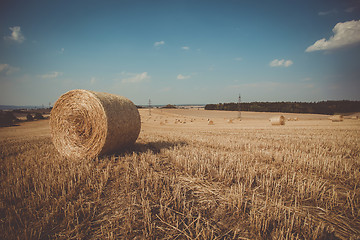 Image showing retro color of straw bales in harvested fields