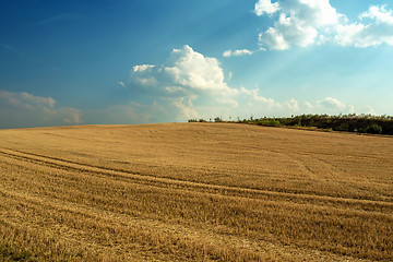 Image showing Beautiful landscape with harvested field