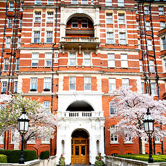 Image showing tree  window in europe london  red brick wall     and      histo