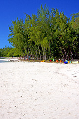 Image showing beach ile du cerfs seaweed in indian people rock