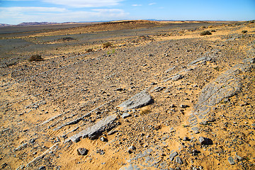 Image showing  old fossil in  the desert of  stone sky
