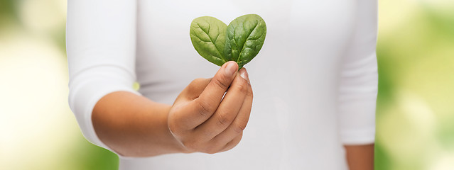 Image showing closeup woman hand with green sprout