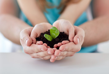 Image showing close up of father and girl hands holding sprout