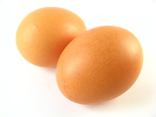 Image showing eggs