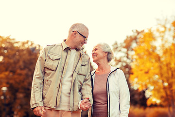 Image showing senior couple in park