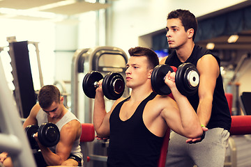 Image showing group of men with dumbbells in gym