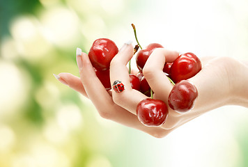 Image showing female hand full of red cherries