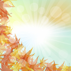 Image showing Autumn  Frame