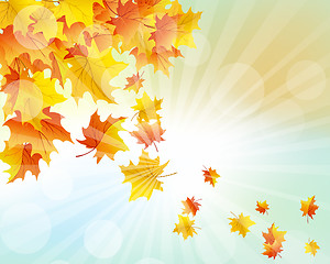 Image showing Autumn  Frame