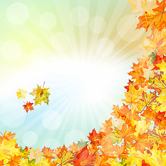 Image showing Autumn  Frame