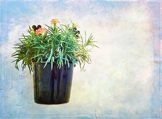 Image showing Carnations in a pot on artistic background